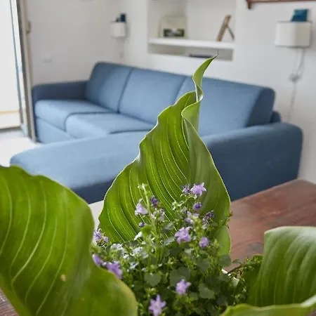 L'affresco Caprese Κάπρι